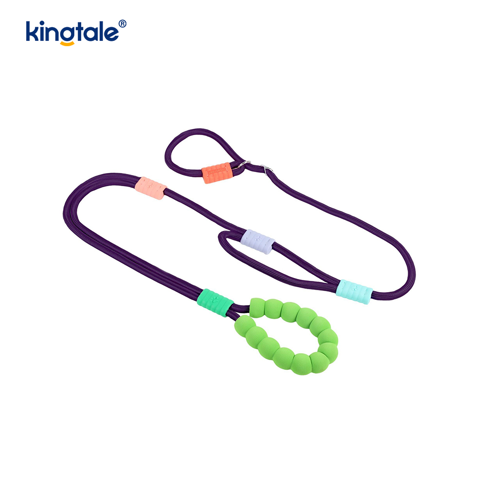 Non excute Dura Novifacta Nylon Duplex manubrium LAETUS canis labi Leash