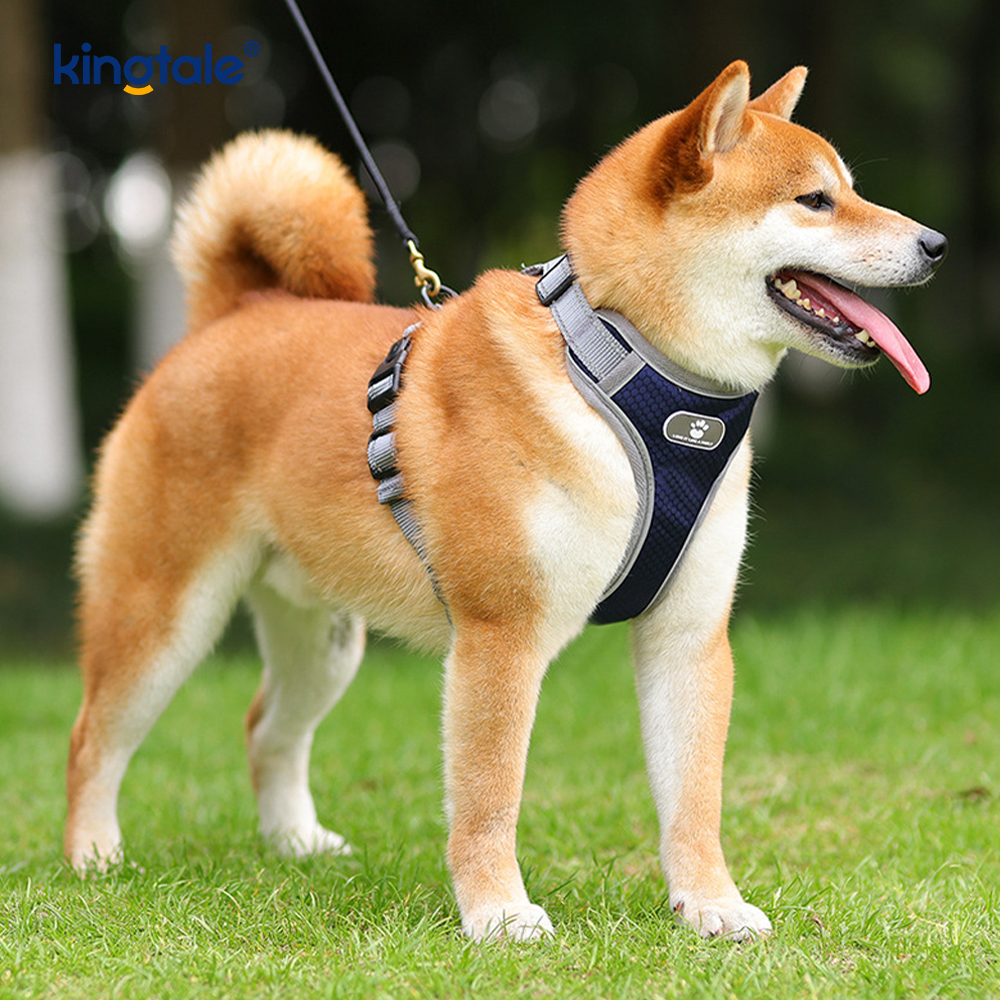 Product Mollis Padded non-Trahere Pet lunge Reflective Canis Oxford Vestis