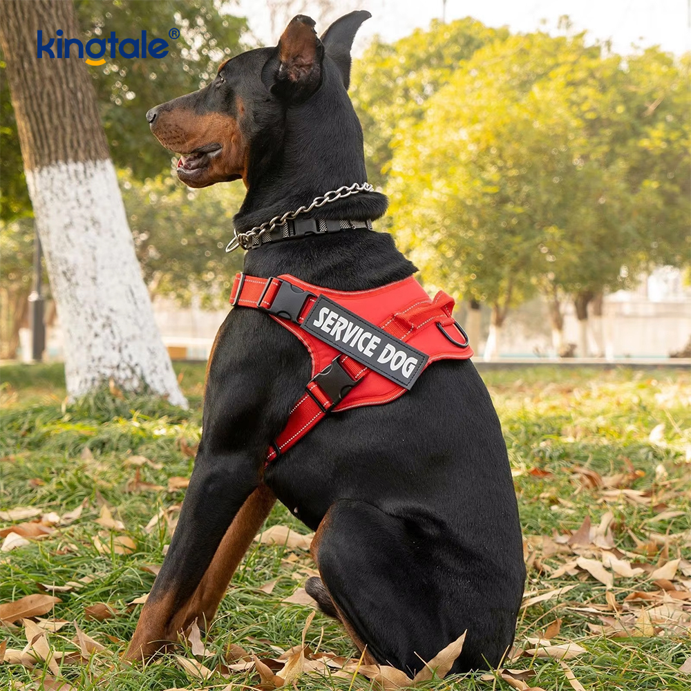 Non-Excute Reflective Tactical Gravis Officium Tactical Canis Iunge pro magna canibus