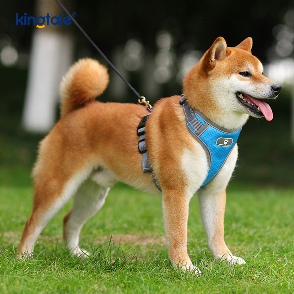 Product Mollis Padded non-Trahere Pet lunge Reflective Canis Oxford Vestis