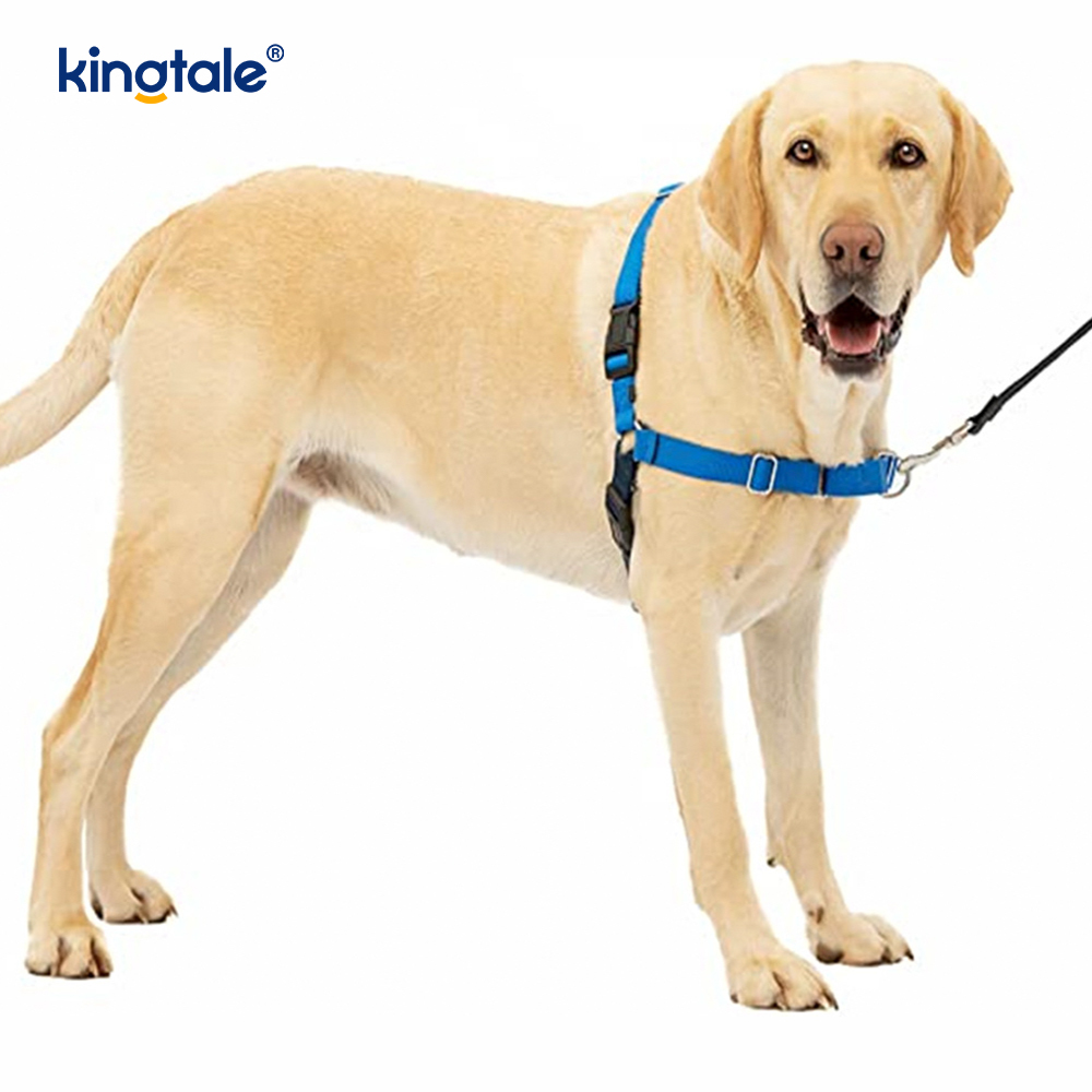 Non-trahe canis iungite Auxilium Subsisto trahens Imperium capie & doce Leash Moribus