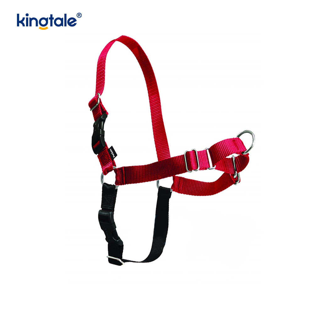 Non-trahe canis iungite Auxilium Subsisto trahens Imperium capie & doce Leash Moribus