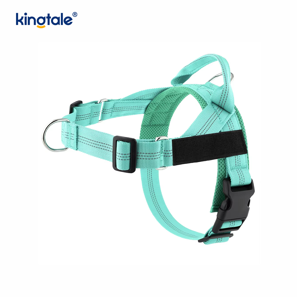 Custom Reflective Mesh Dura Novifacta Nulla viverra canis iungite