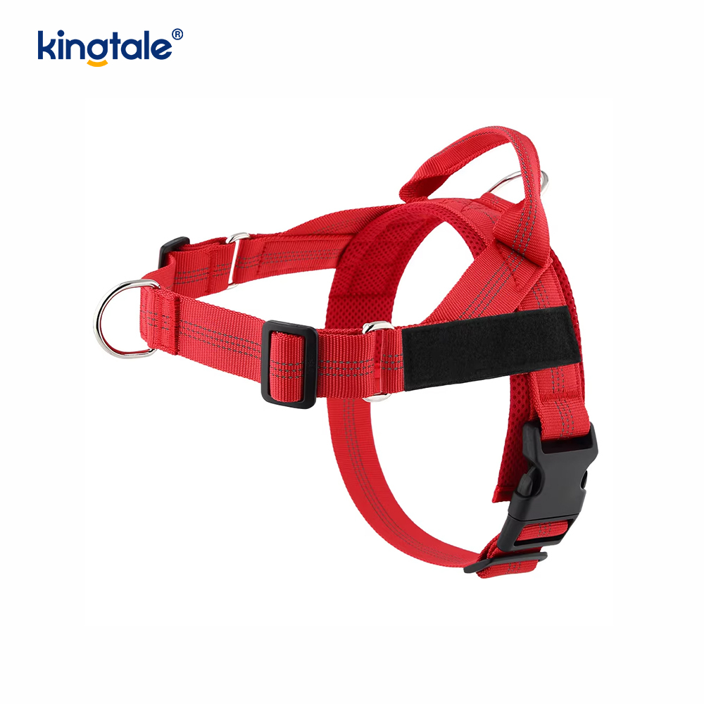 Custom Reflective Mesh Dura Novifacta Nulla viverra canis iungite