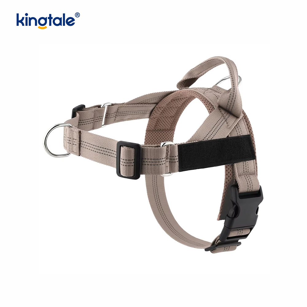 Custom Reflective Mesh Dura Novifacta Nulla viverra canis iungite