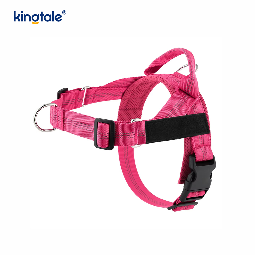 Custom Reflective Mesh Dura Novifacta Nulla viverra canis iungite