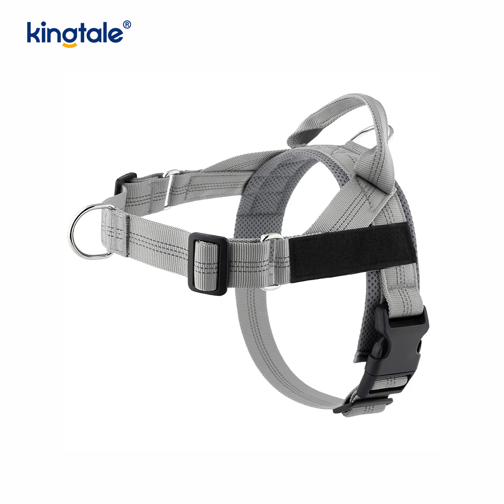 Custom Reflective Mesh Dura Novifacta Nulla viverra canis iungite
