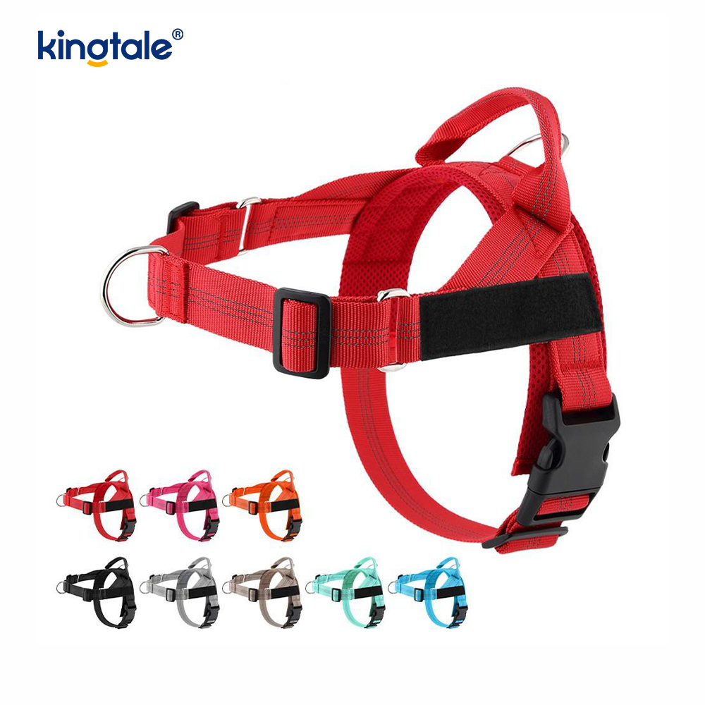 Custom Reflective Mesh Dura Novifacta Nulla viverra canis iungite