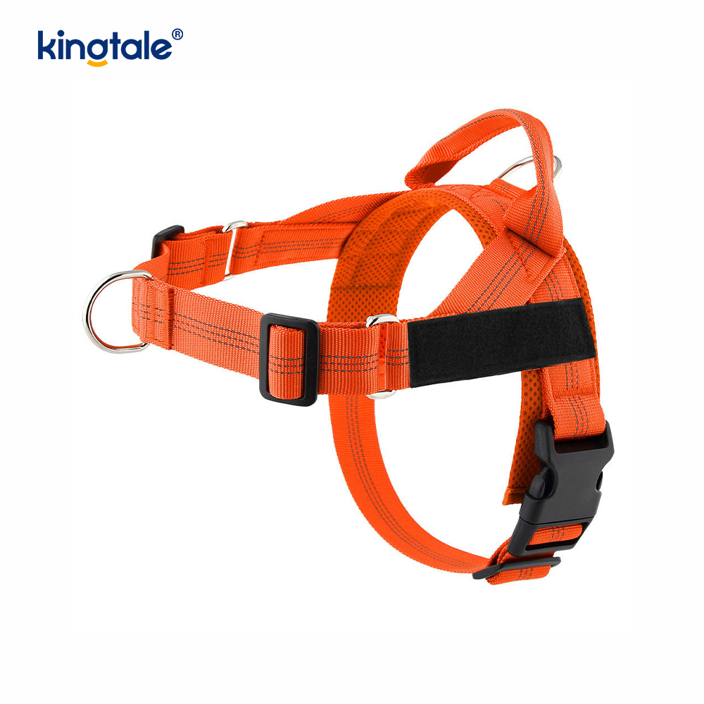 Custom Reflective Mesh Dura Novifacta Nulla viverra canis iungite