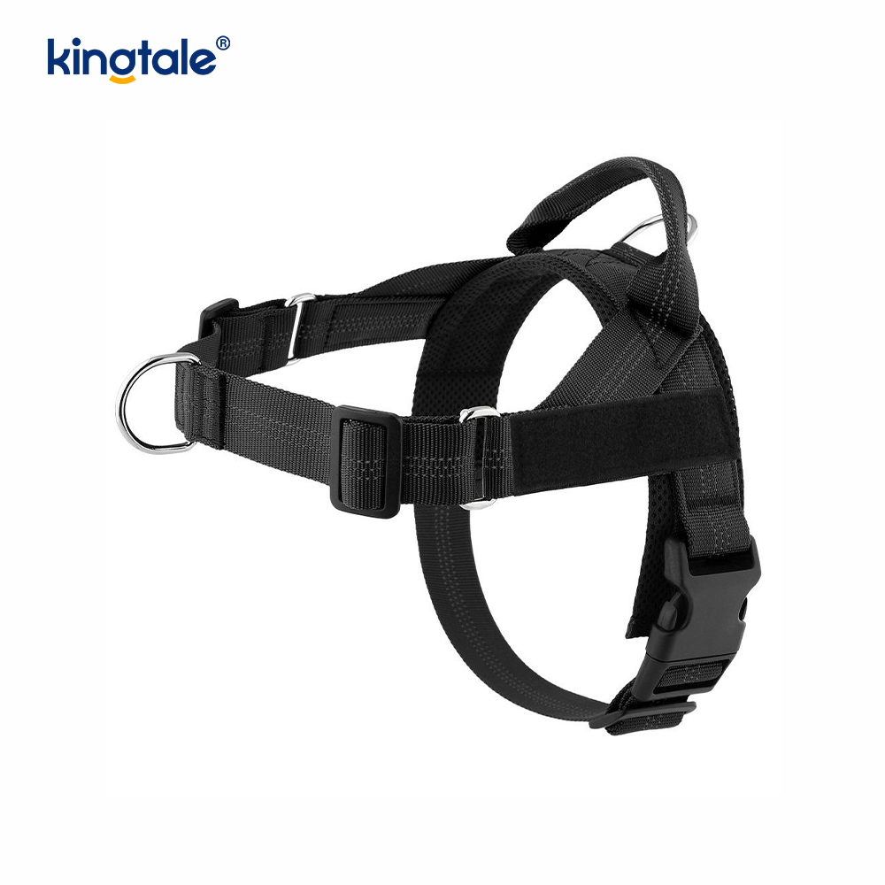 Custom Reflective Mesh Dura Novifacta Nulla viverra canis iungite