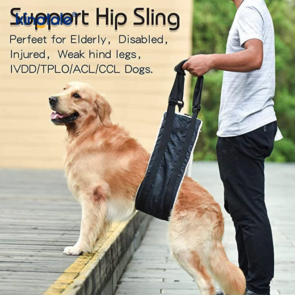 Customized Portable Dog funda solidus sustentabile canis Leva iungite enim Suspendisse