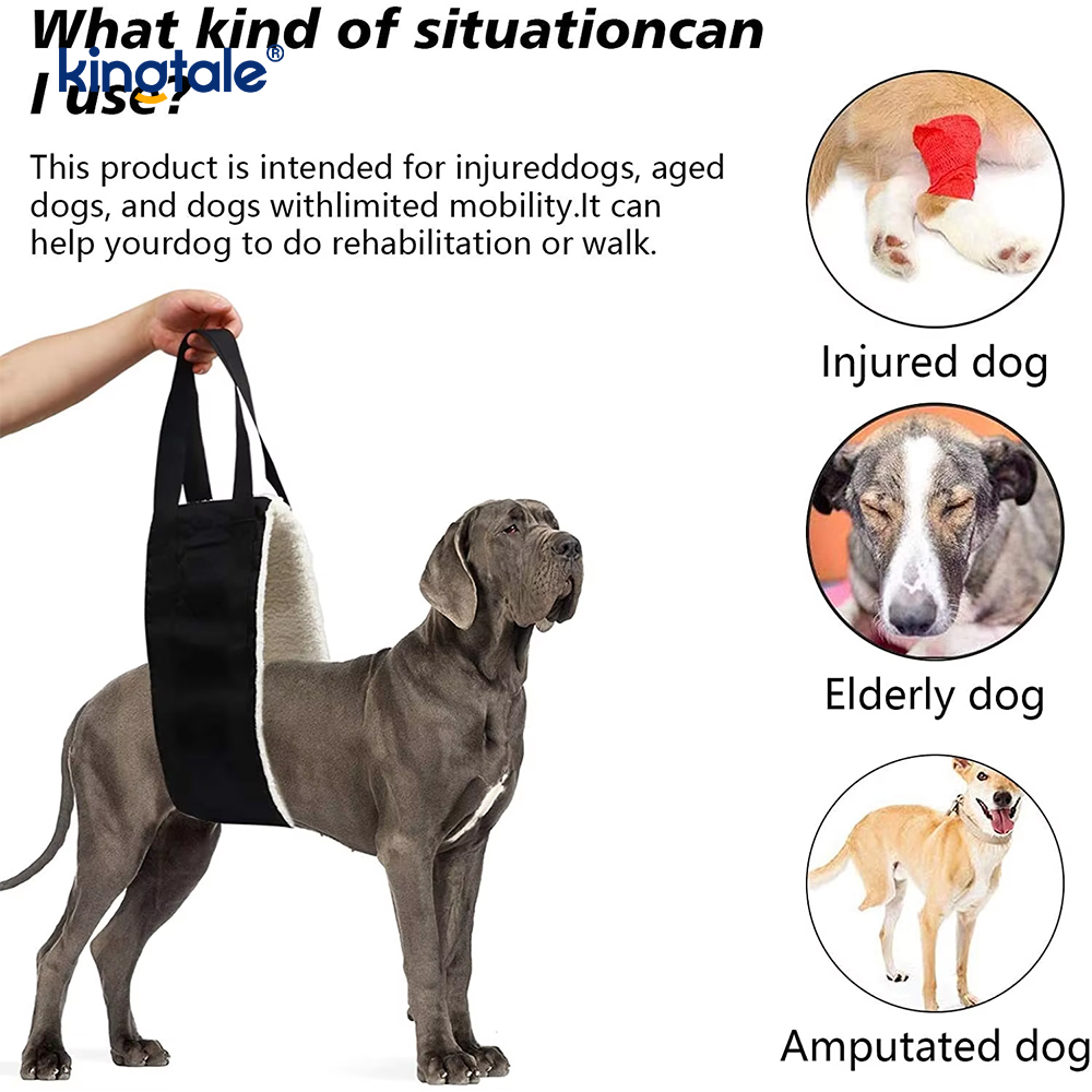 Customized Portable Dog funda solidus sustentabile canis Leva iungite enim Suspendisse