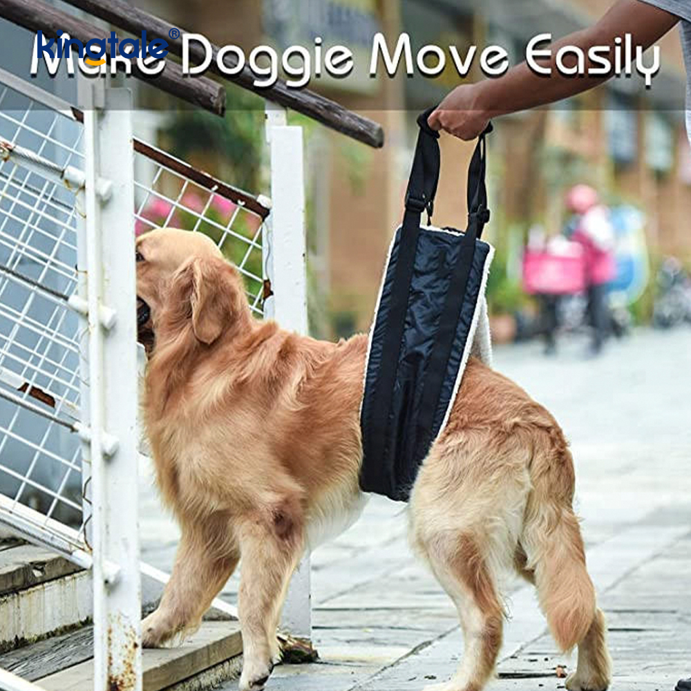 Customized Portable Dog funda solidus sustentabile canis Leva iungite enim Suspendisse