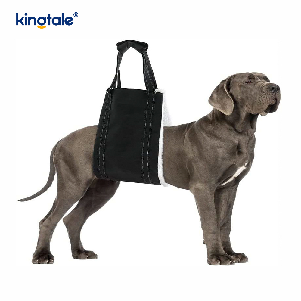 Customized Portable Dog funda solidus sustentabile canis Leva iungite enim Suspendisse