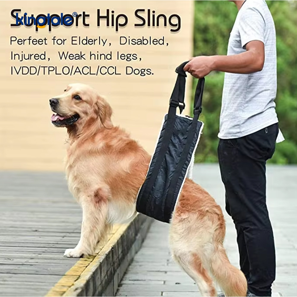 Customized Portable Dog funda solidus sustentabile canis Leva iungite enim Suspendisse