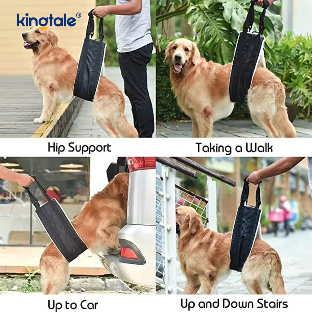 Customized Portable Dog funda solidus sustentabile canis Leva iungite enim Suspendisse