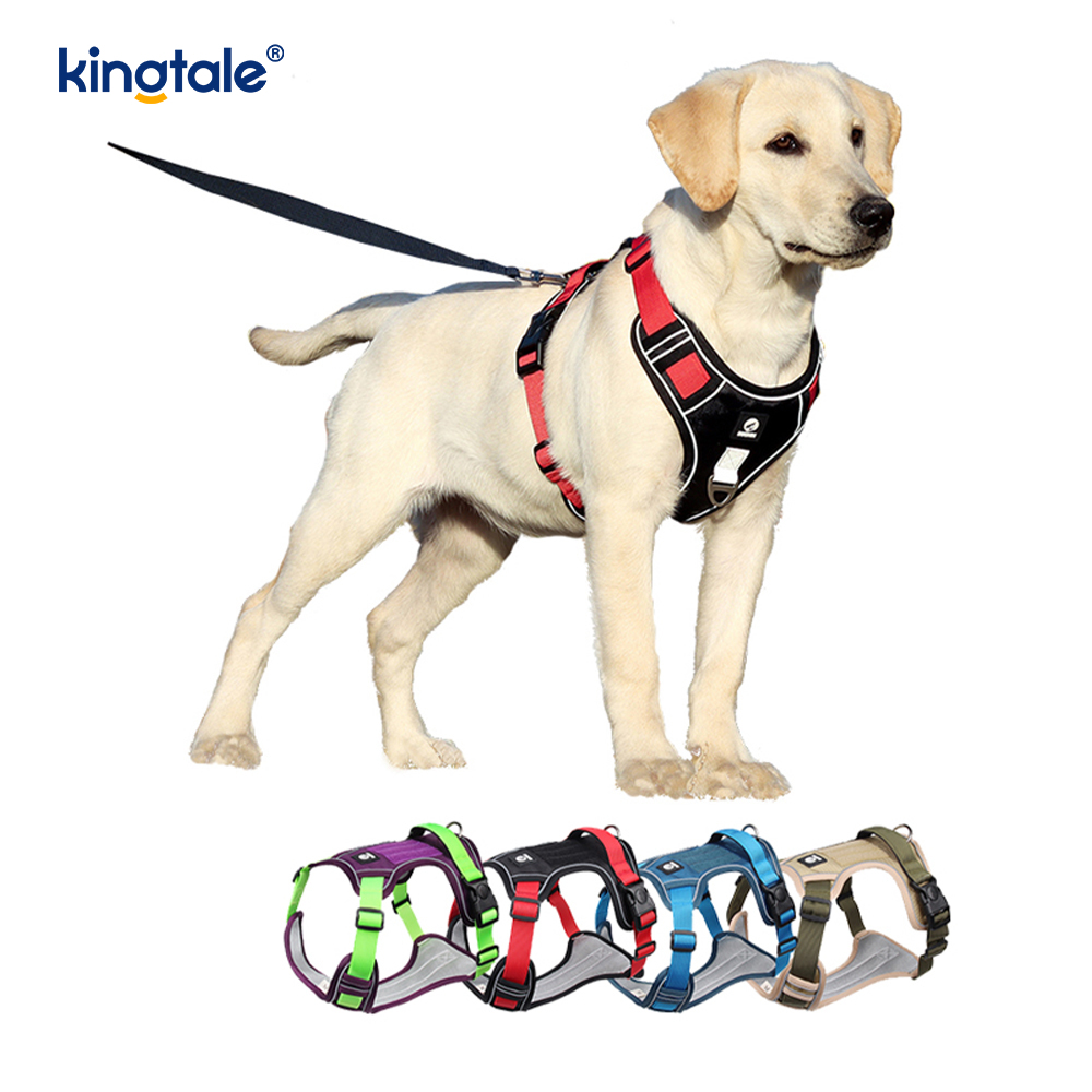 Nylon Rivet Reflective Novifacta Breathable Summum iungite canis Leash