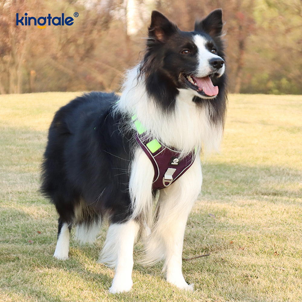 Nylon Rivet Reflective Novifacta Breathable Summum iungite canis Leash