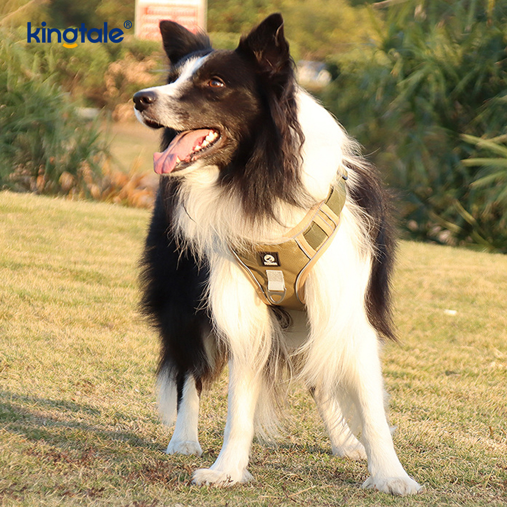 Nylon Rivet Reflective Novifacta Breathable Summum iungite canis Leash