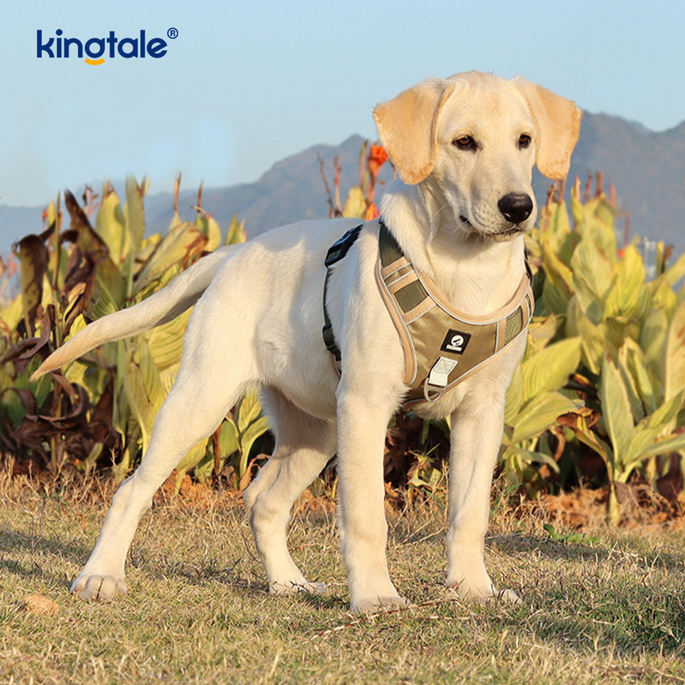 Nylon Rivet Reflective Novifacta Breathable Summum iungite canis Leash