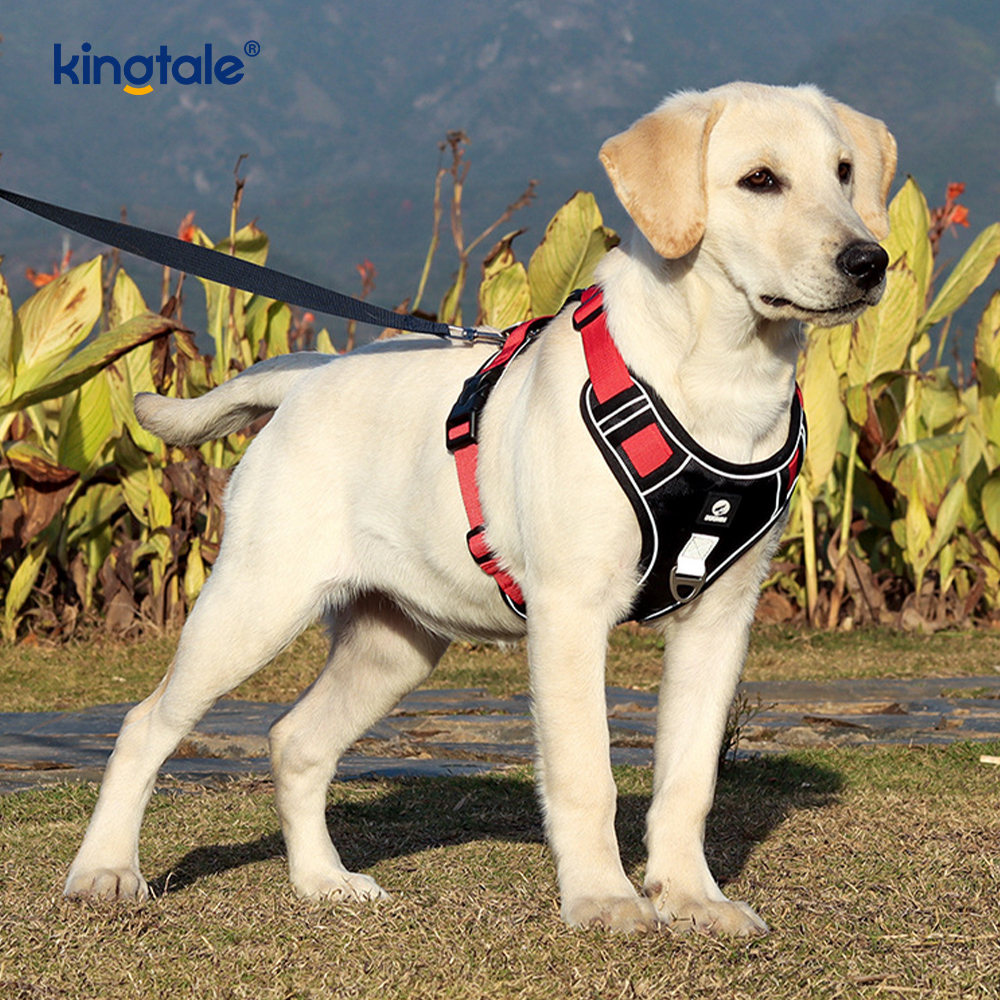 Nylon Rivet Reflective Novifacta Breathable Summum iungite canis Leash