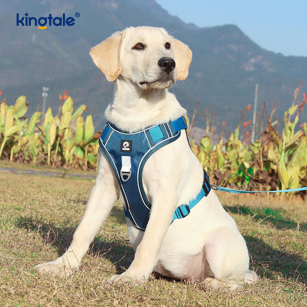 Nylon Rivet Reflective Novifacta Breathable Summum iungite canis Leash