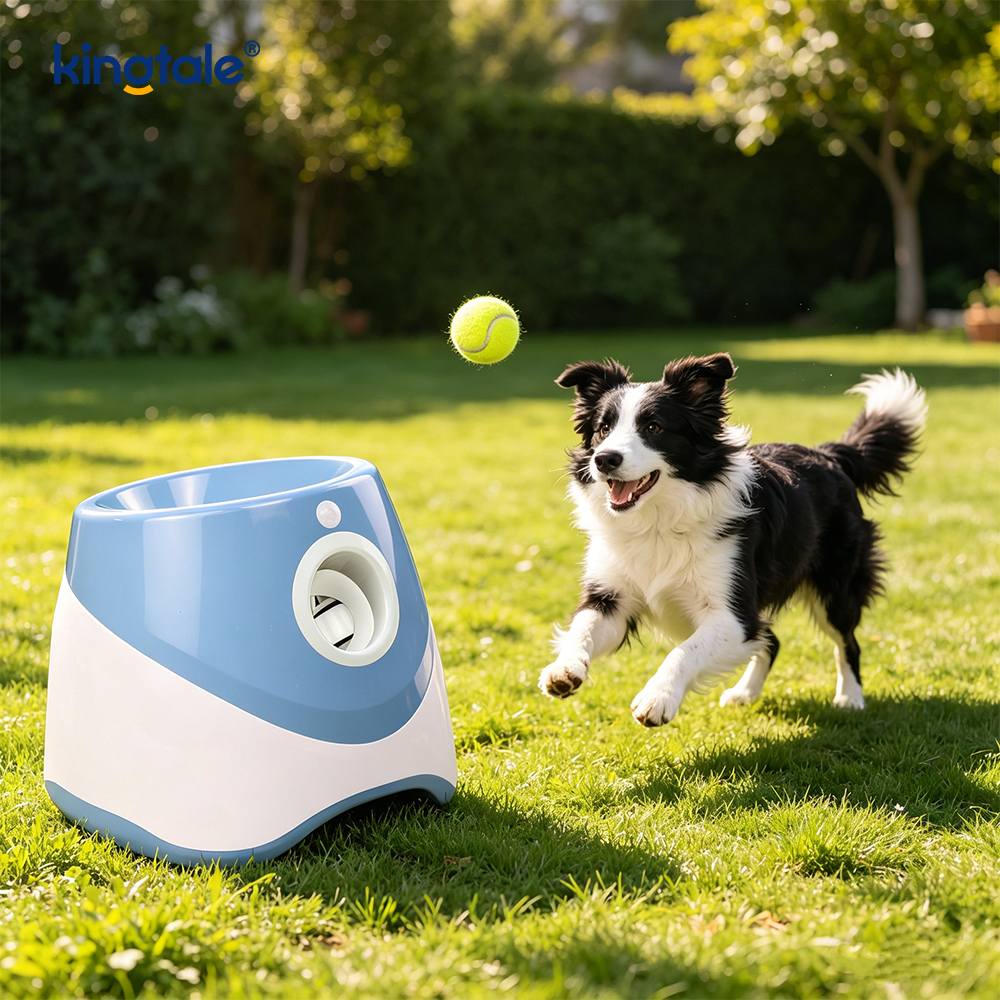 Automatic Ball Launcher cum 3 Mini Tennis Ball Dog Toys Outdoor