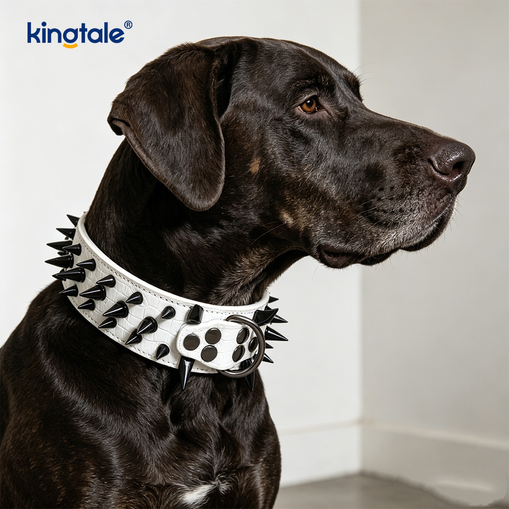 Acuta Spiked Studded Dog Collar Stylish Leather Dog Collars
