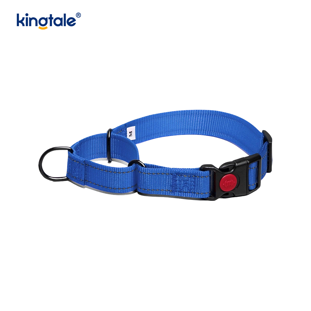 Quick Release No Pull Reflective Novifacta Nylon Martingale Dog Collarem