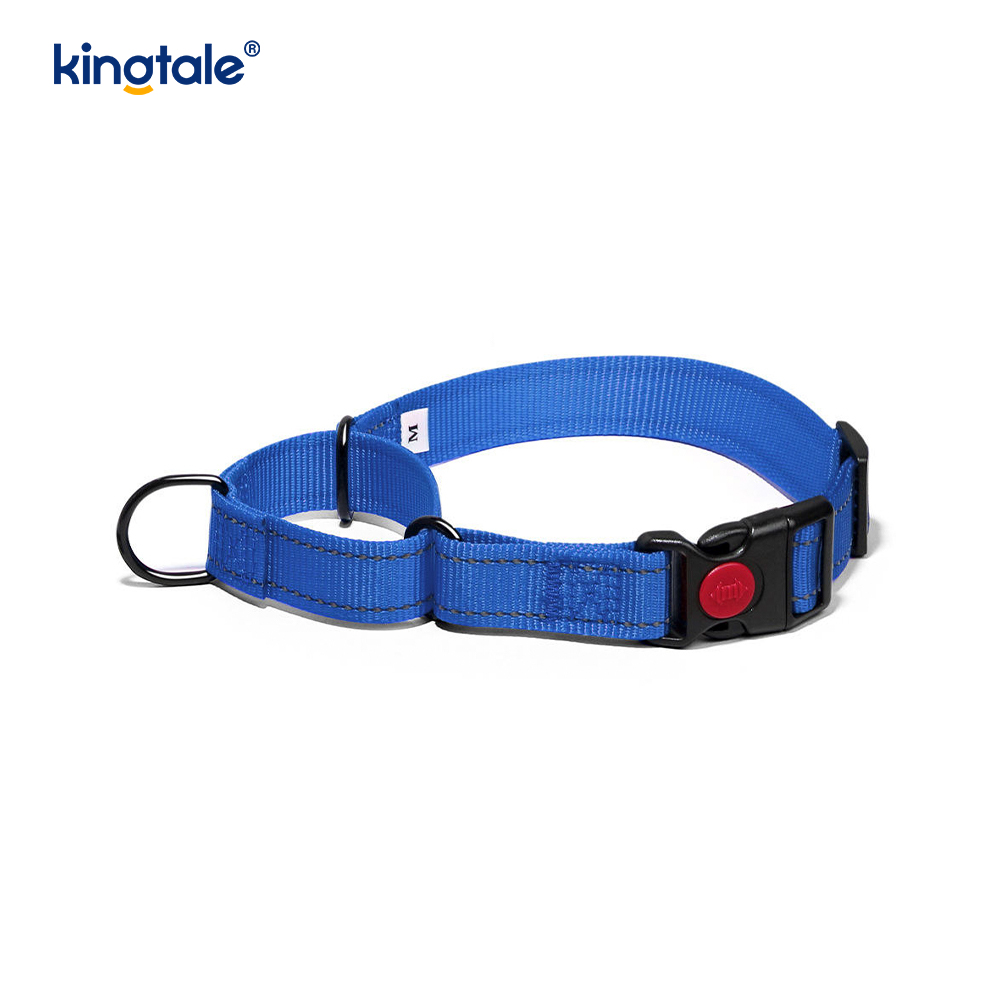 Quick Release No Pull Reflective Novifacta Nylon Martingale Dog Collarem