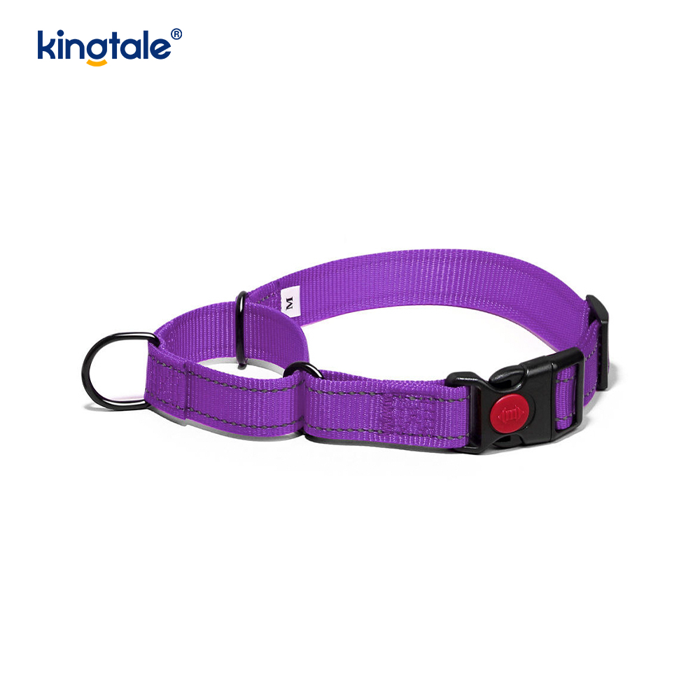Quick Release No Pull Reflective Novifacta Nylon Martingale Dog Collarem