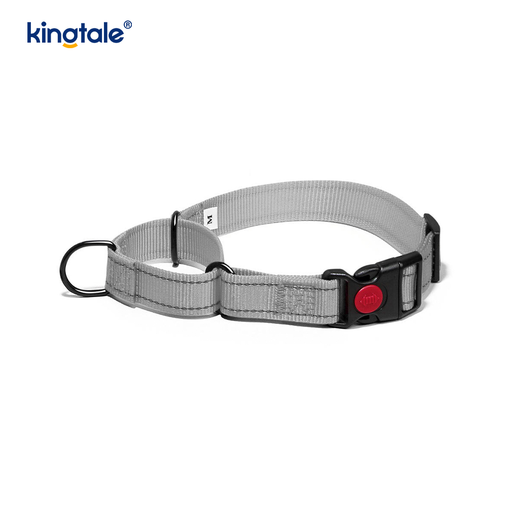 Quick Release No Pull Reflective Novifacta Nylon Martingale Dog Collarem