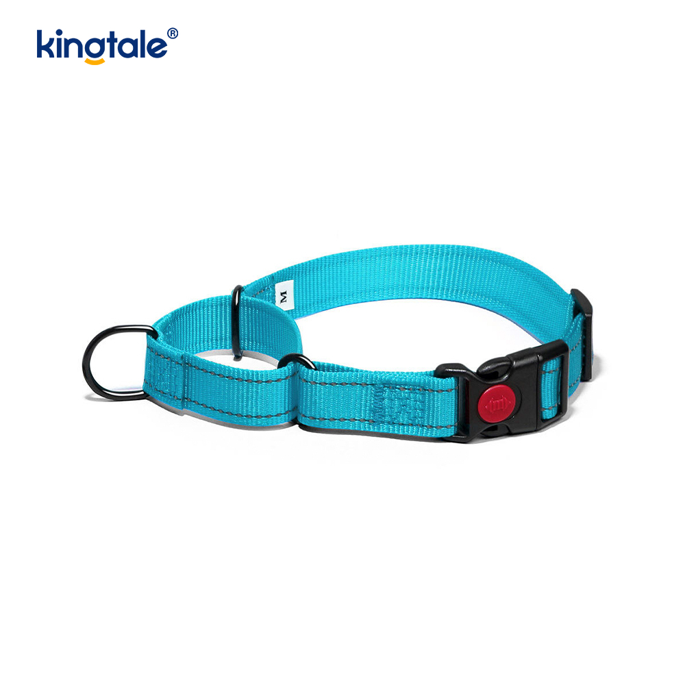 Quick Release No Pull Reflective Novifacta Nylon Martingale Dog Collarem