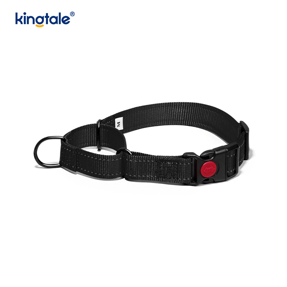 Quick Release No Pull Reflective Novifacta Nylon Martingale Dog Collarem
