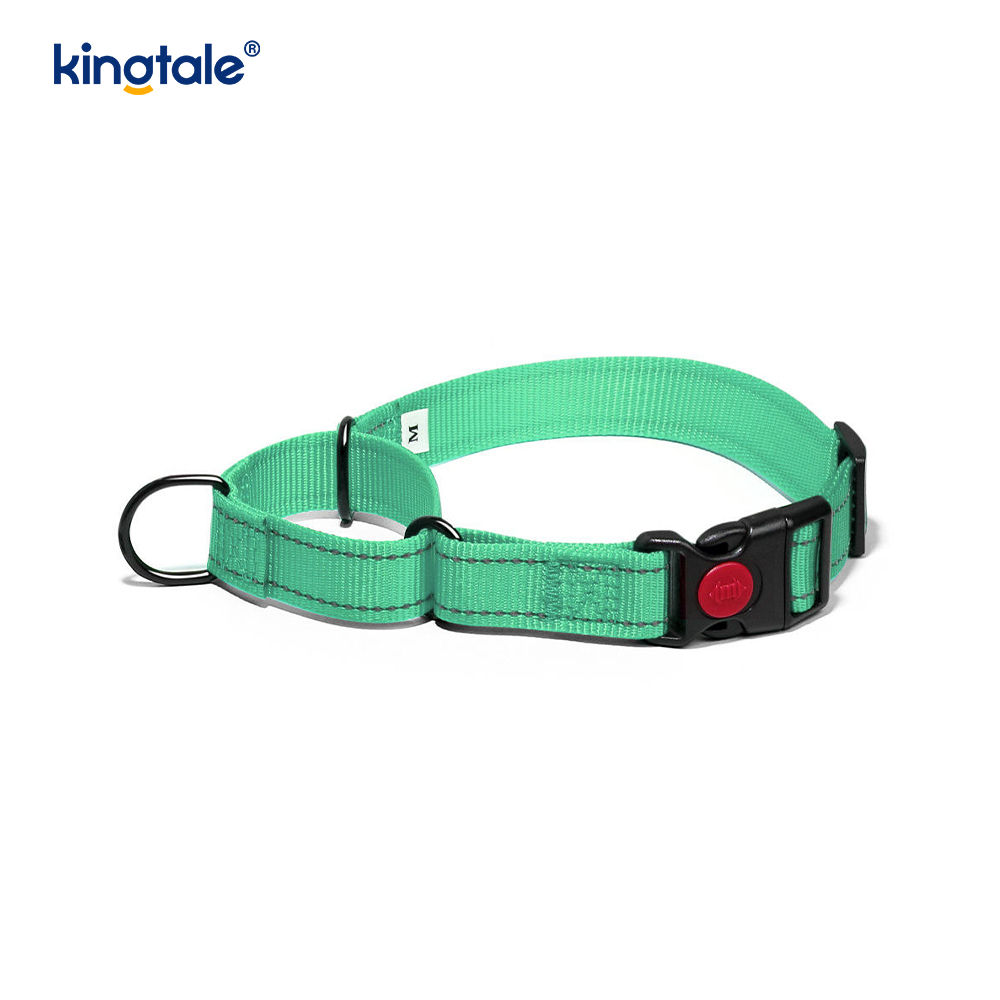 Quick Release No Pull Reflective Novifacta Nylon Martingale Dog Collarem