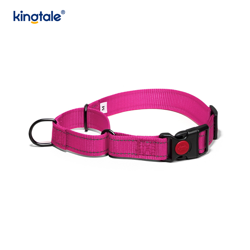 Quick Release No Pull Reflective Novifacta Nylon Martingale Dog Collarem