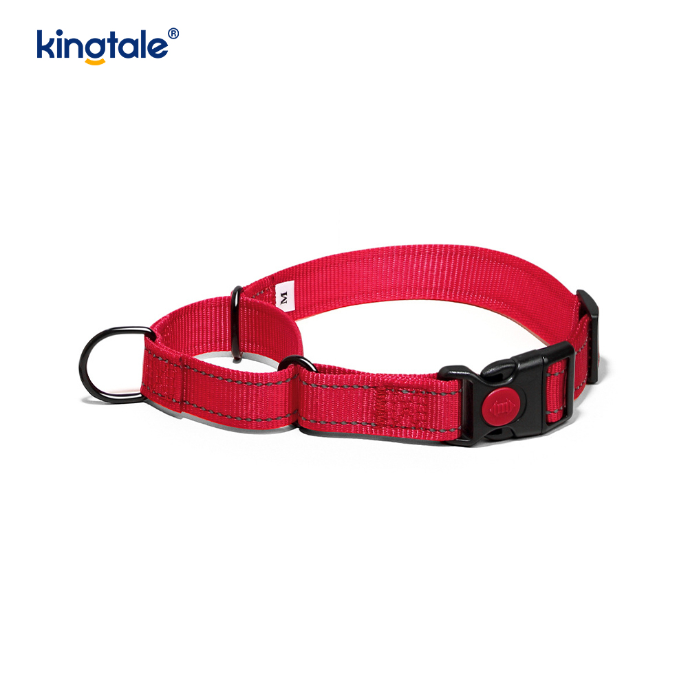 Quick Release No Pull Reflective Novifacta Nylon Martingale Dog Collarem