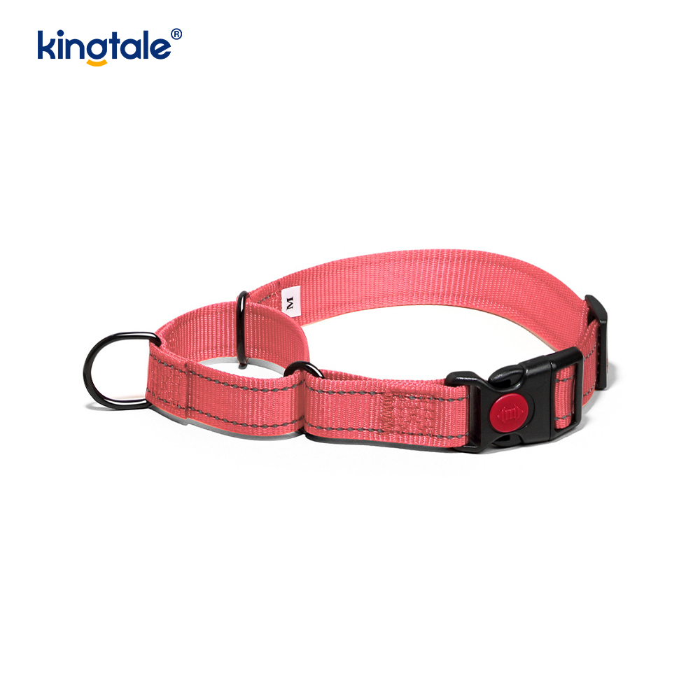 Quick Release No Pull Reflective Novifacta Nylon Martingale Dog Collarem