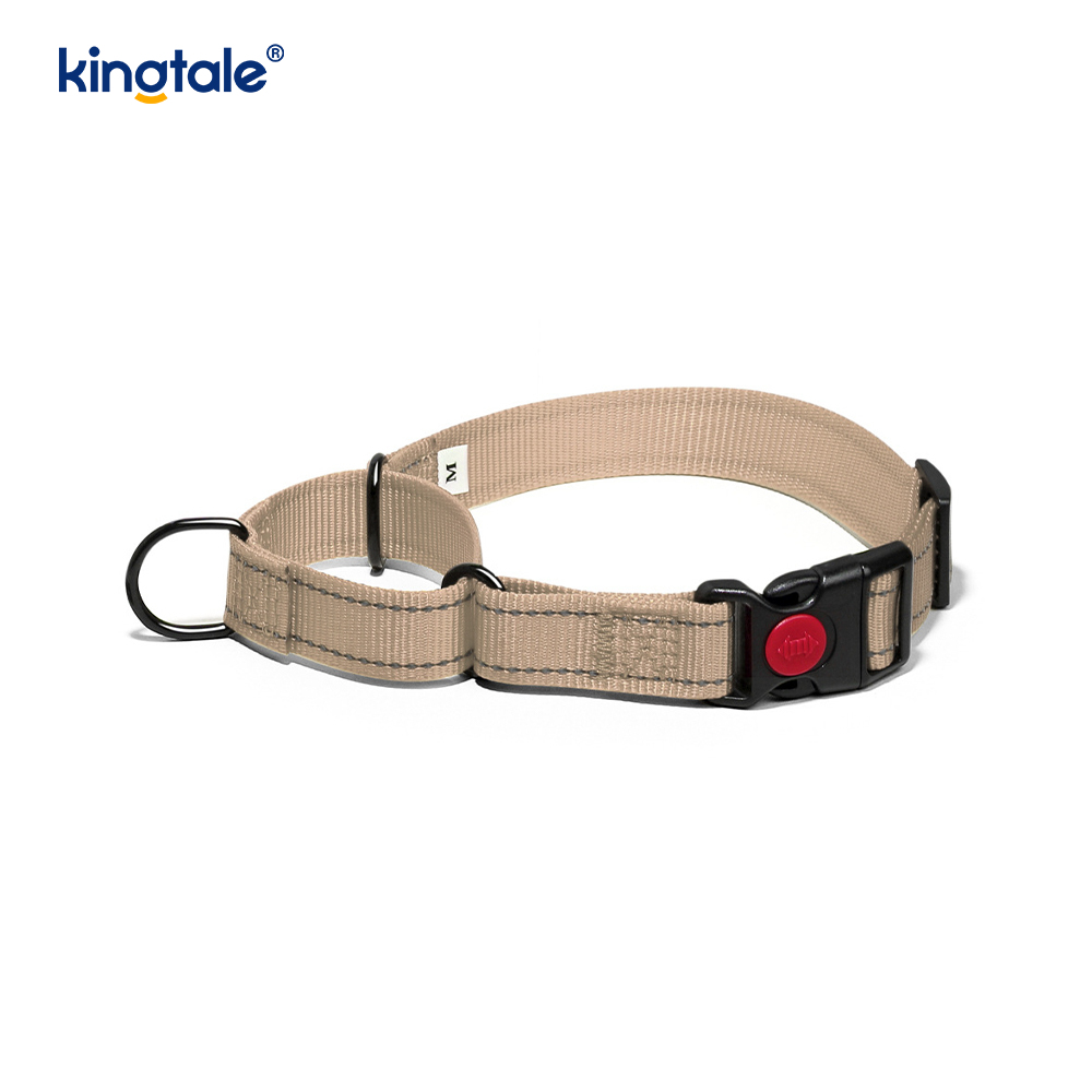 Quick Release No Pull Reflective Novifacta Nylon Martingale Dog Collarem