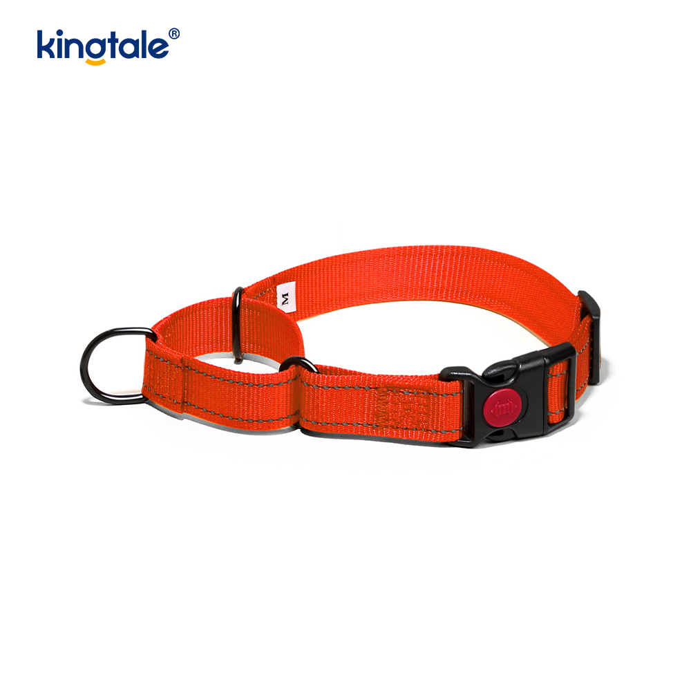 Quick Release No Pull Reflective Novifacta Nylon Martingale Dog Collarem