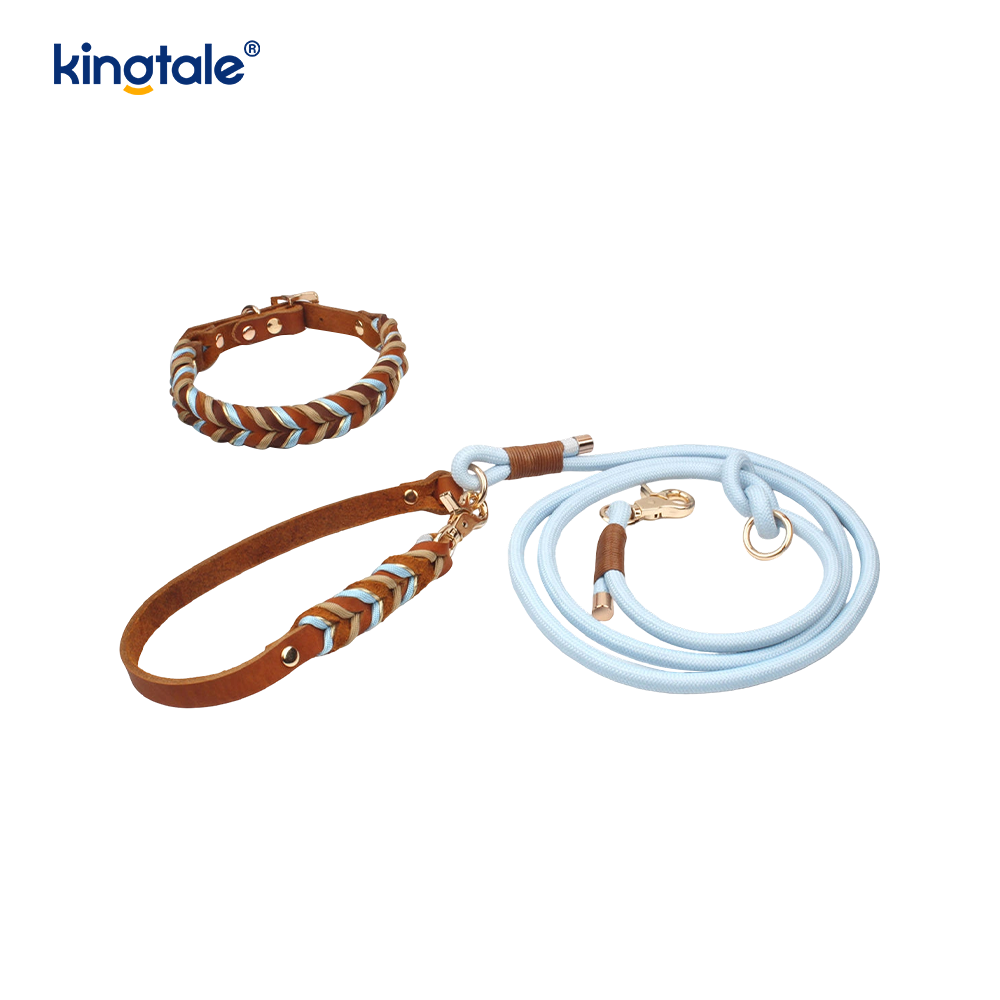 Mollis et durabilis Sincerus Leather Canis Collarem et Leash Set