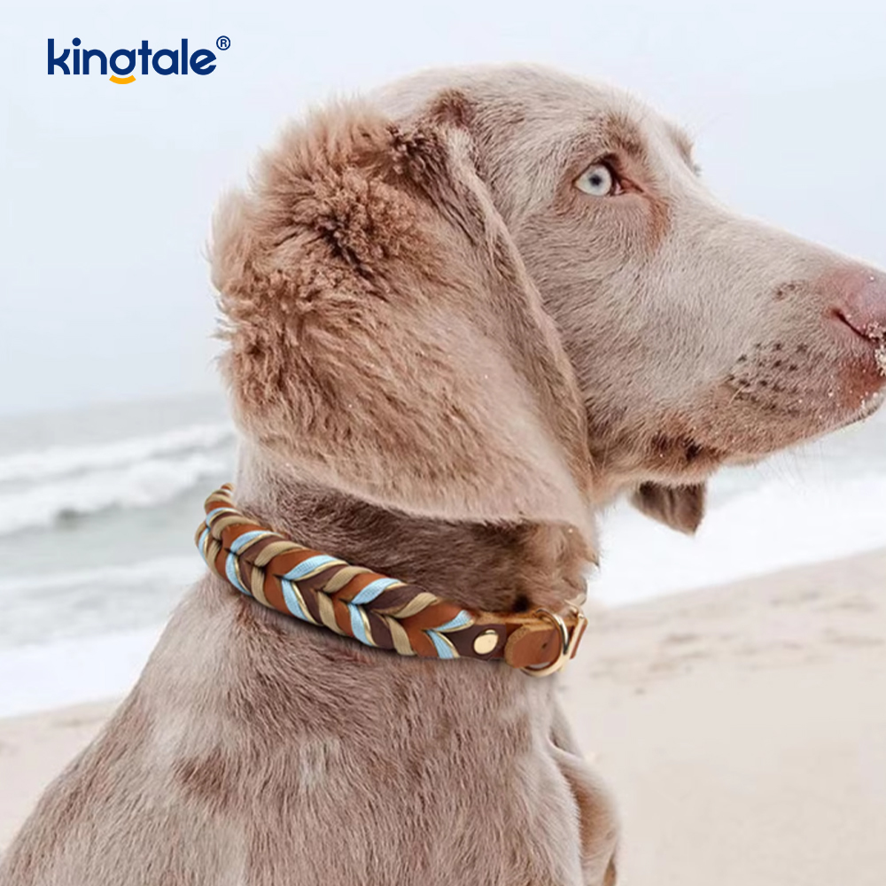 Mollis et durabilis Sincerus Leather Canis Collarem et Leash Set