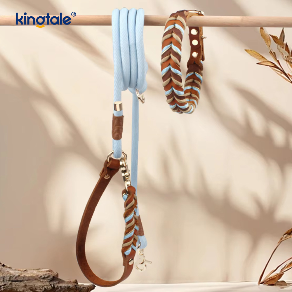 Mollis et durabilis Sincerus Leather Canis Collarem et Leash Set