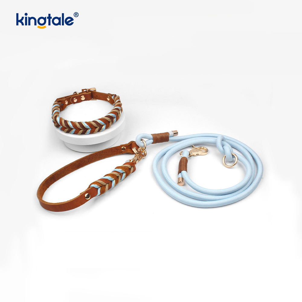 Mollis et durabilis Sincerus Leather Canis Collarem et Leash Set