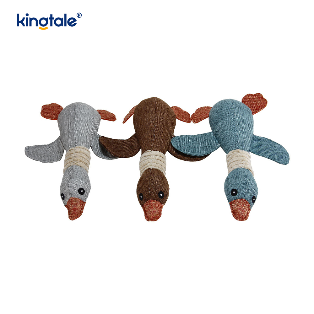 Anserem informibus Ssqueaky Plush Pet Toy