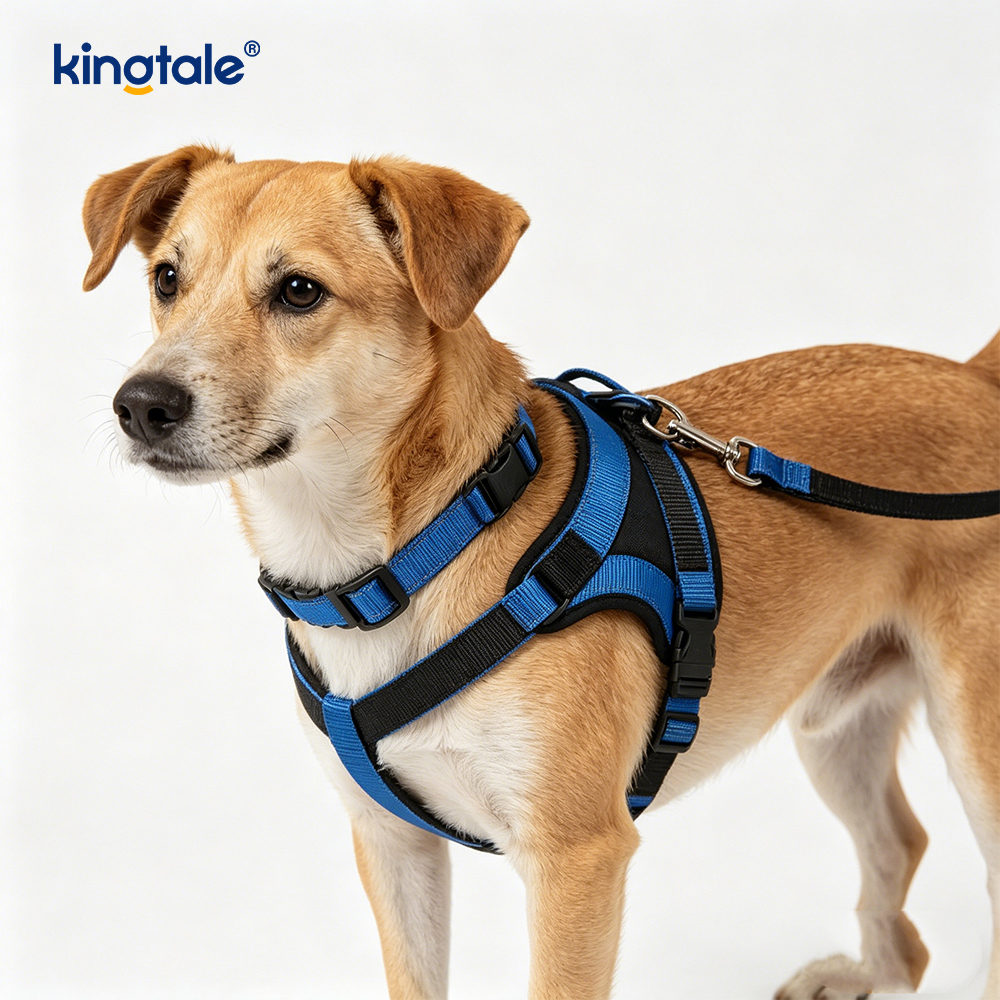 Reflective Crossbody Manus Free Dog Leash Pet Collars