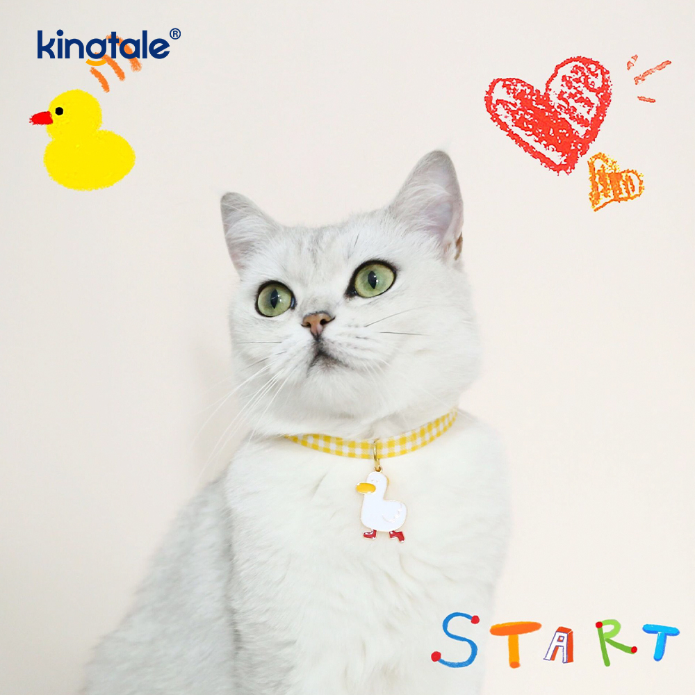 Candy-coloratus Pet Collars cum Avocado pendentes monilia