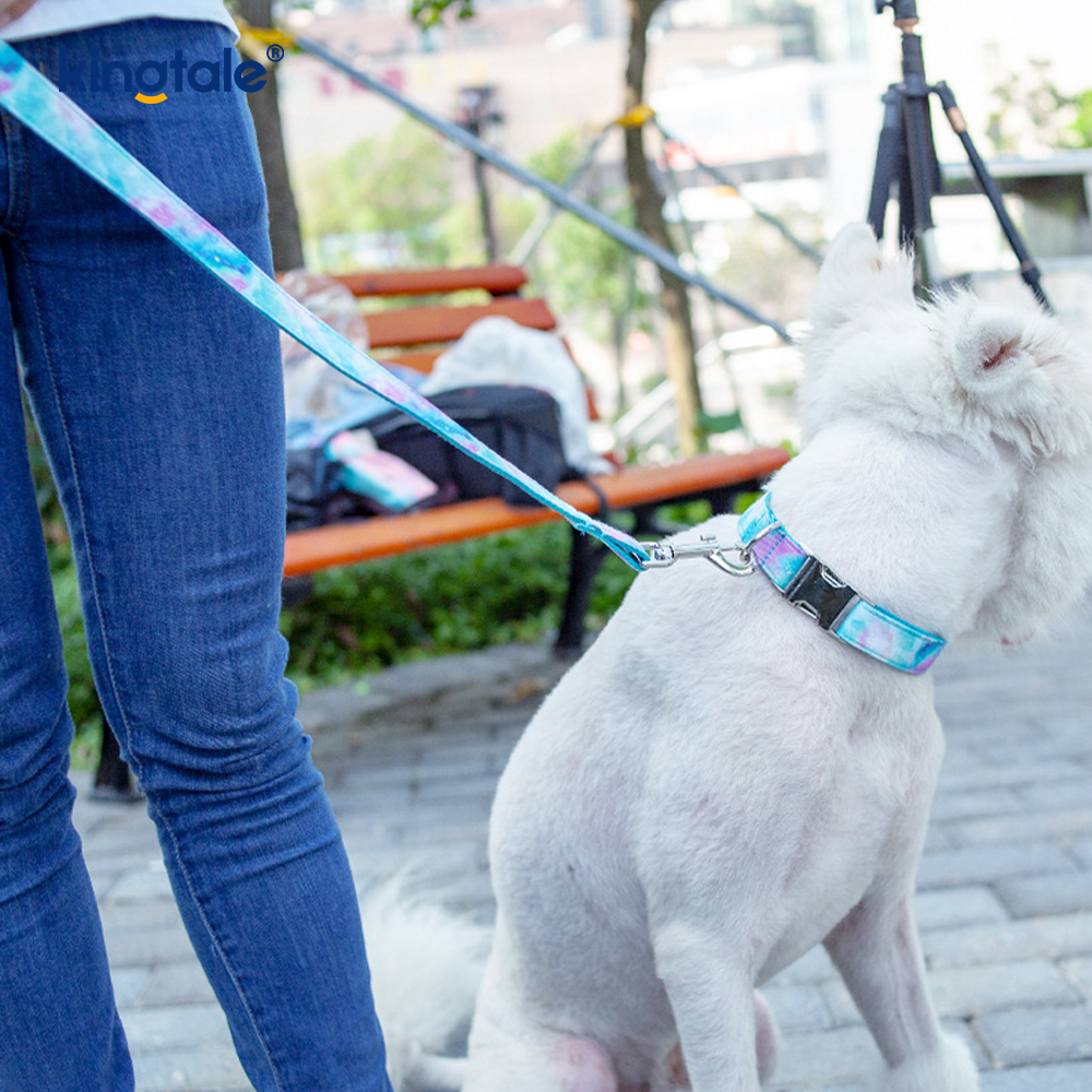 SOMNICULOSUS caelum sidereum Petr Collarem Amazon-Style Dog Monile Leash