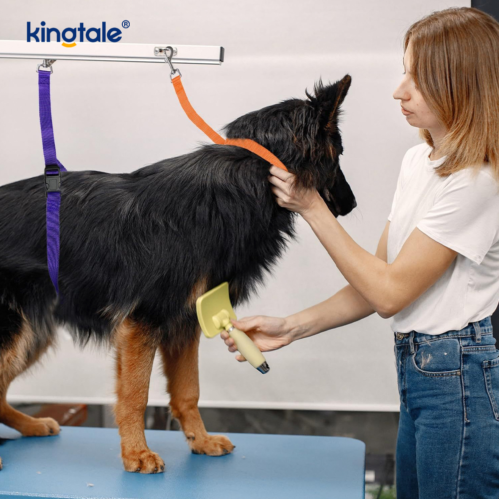 Tutus Pet Grooming temperantia Leash Novifacta Safety Strap