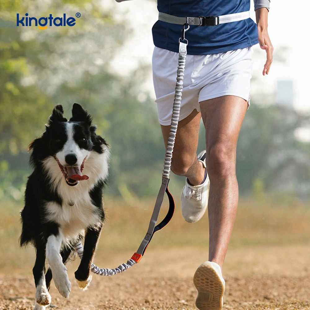 Amazon Reflective Dual-retractable Leash canis pro Outdoor Cursor